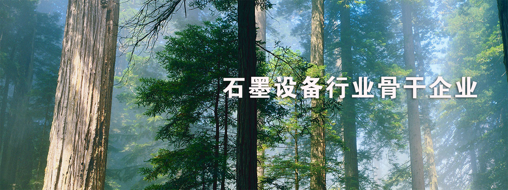 山東泰岳印刷材料有限公司